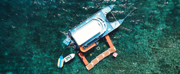 精彩活動二選一(Bali Safari野生動物園+峇里島鳥園公園下午茶或藍夢島海上樂園)→港式料理吃到飽