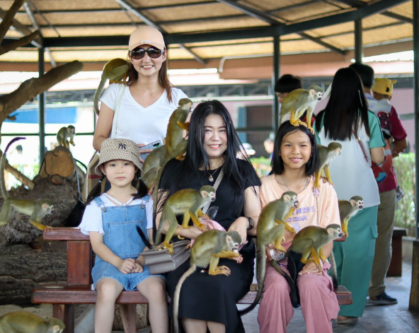 DAY2:小小探險家~大城動物園→田園風景咖啡廳(泰式風格發呆亭/專屬兒童嘟嘟小火車/小網美鞦韆)→喬德拉差達夜市