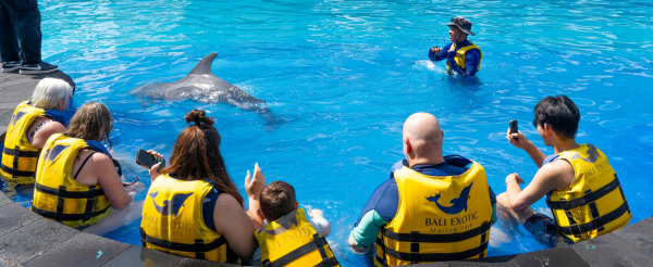 享受渡假村內設施→海豚公園與海豚近距離互動 (拍照、餵食、贈送照片電子檔一張)→港式料理吃到飽→夜遊庫塔市區