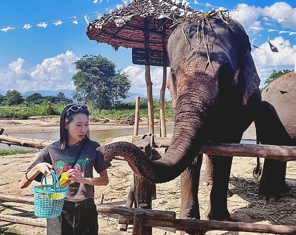 飯店睡到自然醒&享用早餐→機場(純機場接送,導遊送機)→台北