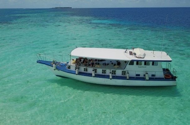 經典半日出海行程(雙環礁浮潛點/活動午餐)→返回島上自由散策→酒店內享用晚餐