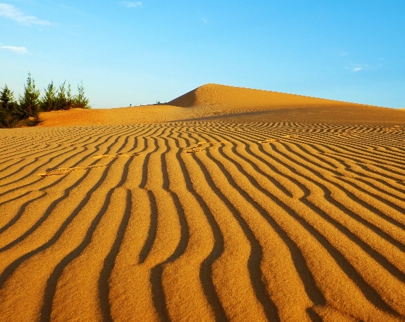 渡假村內悠閒早晨時光→越南撒哈拉(白沙丘吉普車、紅沙丘、漁村、仙女溪)→海濱咖啡廳(含一杯飲品)→美奈海鮮風味餐