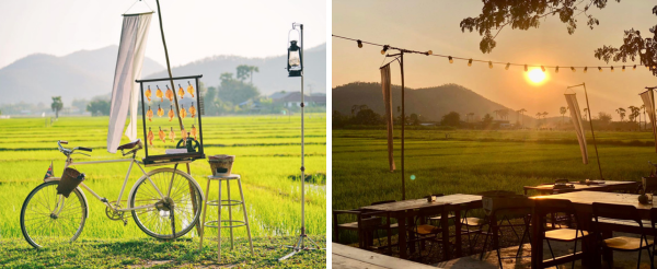 親子農場半日遊(木炭窯烤披薩DIY、西式風味餐、迷你動物園、餵食紐西蘭羊、遊樂場)→露營燒烤日落BBQ+動物連線賓果