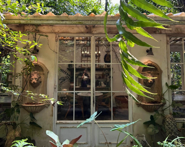 DAY5:退房→小樹森林咖啡廳→曼谷機場→台北