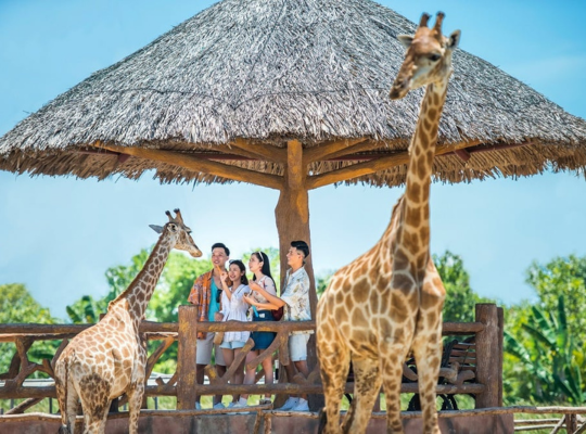會安珍珠島樂園(動力艇遊動物園、遊樂設施、民俗表演)→酒店自由享樂