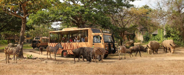 水陸二選一:阿漾河激流泛舟(含豬肋排簡餐) / Safari野生動物園(午餐園內自理)→阿雅娜渡假村Check In→義大利料理+招待冰淇淋