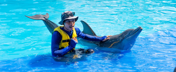 享受渡假村內設施→海豚公園與海豚近距離互動 (拍照、餵食、贈送照片電子檔一張)→港式料理吃到飽→夜遊庫塔市區
