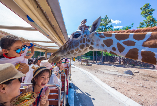 #清邁【寒假親子團限定】清親寶貝。與大象有約、親子農場窯烤體驗、露營日落BBQ #清邁【寒假親子團限定】清親寶貝。與大象有約、親子農場窯烤體驗、露營日落BBQ