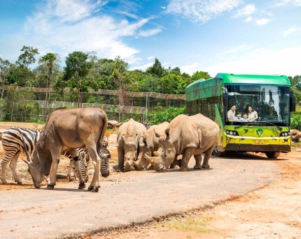珍珠野生動物園(東南亞特有鳥類秀、Safari遊獵車)→富國大世界&貢多拉遊船→海鮮先生
