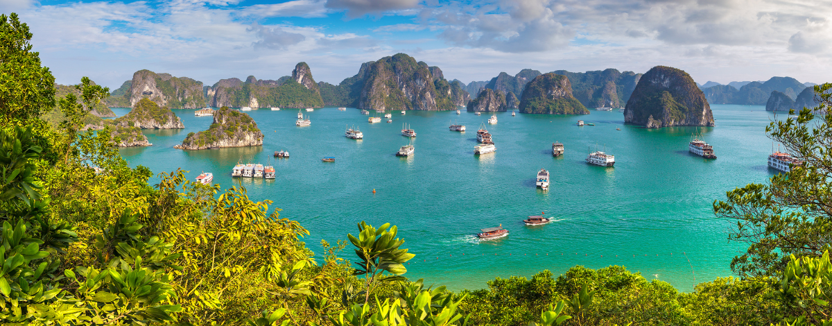 返回河內→樂天購物中心→河內→台北