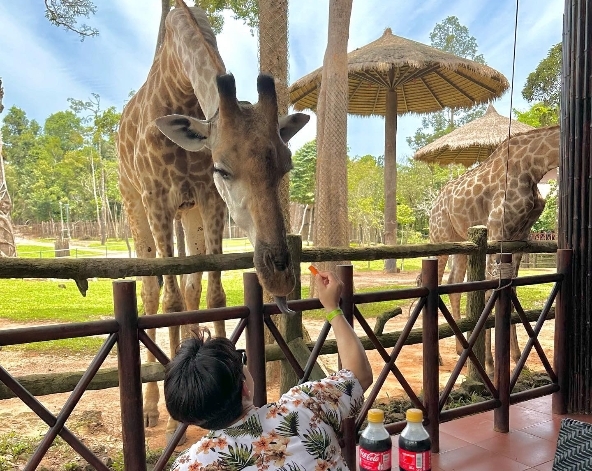 珍珠野生動物園(東南亞特有鳥類秀、Safari遊獵車)→富國大世界&貢多拉遊船→海鮮先生