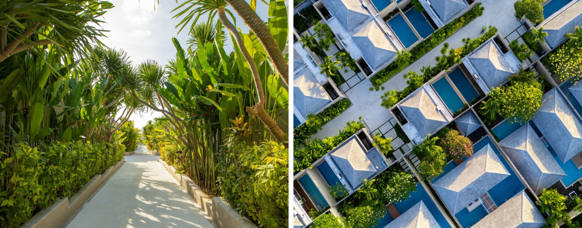 贈送：咖啡工廠【真】麝香貓咖啡一杯→酥骨雞風味餐→機場→台北