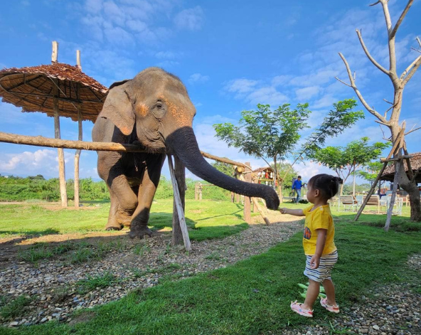 嘟嘟車遊覽古城(塔佩門、柴迪隆寺、帕辛寺、水果街)→清邁女子監獄餐廳→大象互動咖啡廳(贈送一人一籃香蕉)→尼曼商圈自由逛街＆必比登推薦餐廳 Ginger Farm Kitchen