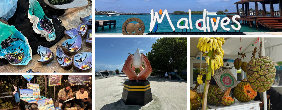 桃園→經由轉機地飛往馬列機場→前往馬富士居民島